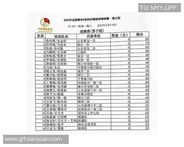 武汉排球队在锦标赛中的速度优势与战术解析