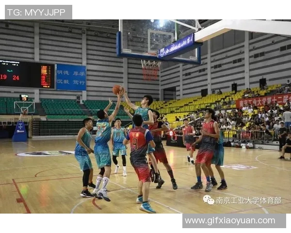 南京篮球队展现出色团队协作能力助力联赛表现分析