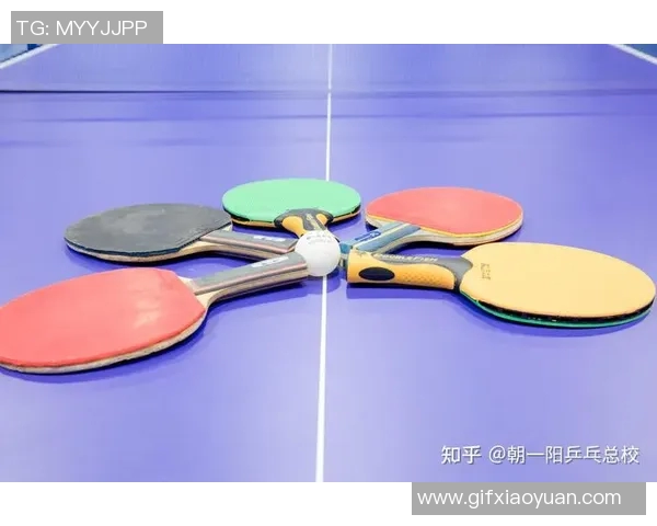 杭州乒乓球队引领最新乒乓球节奏TOP10榜单全景解析 杭州乒乓球队引领最新乒乓球节奏TOP10榜单全景解析