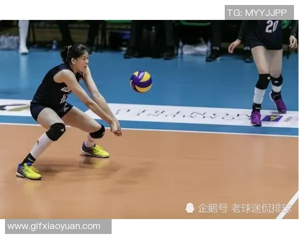 排球装备选购指南:如何选择适合的排球鞋推荐与购买技巧