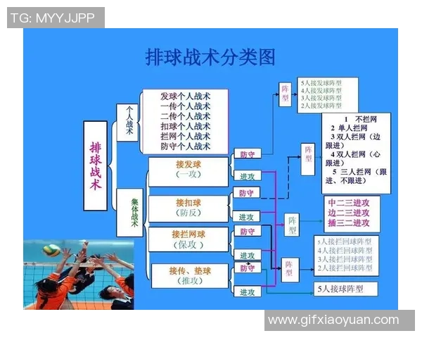 杭州排球队控制打法深度解析与战术运用探讨