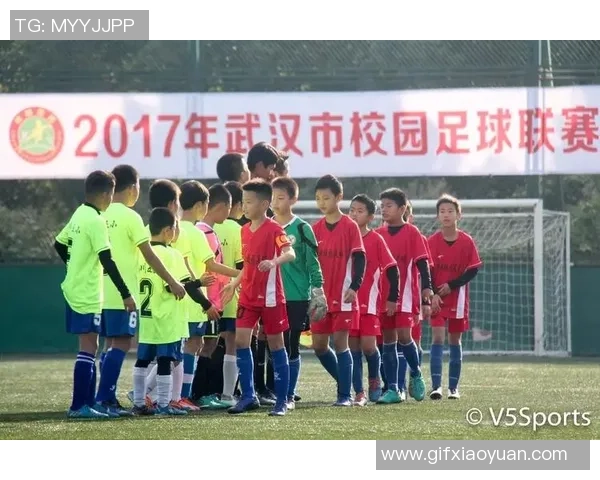 武汉足球队个人能力分析与表现评估研究报告