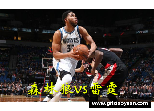 NBA明星狼队：重塑传奇与征程