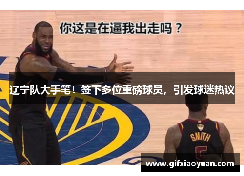 辽宁队大手笔！签下多位重磅球员，引发球迷热议