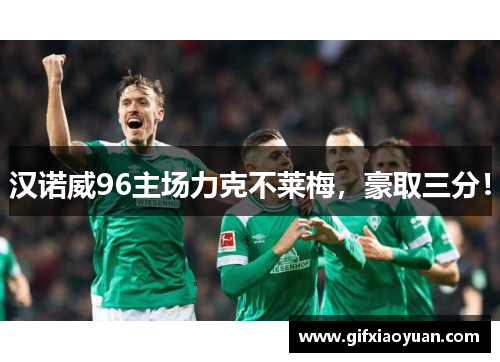 汉诺威96主场力克不莱梅，豪取三分！