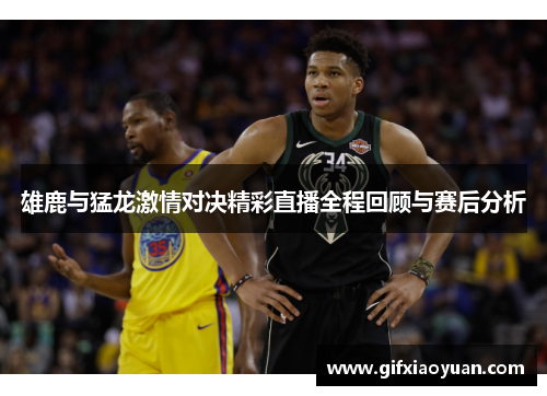 雄鹿与猛龙激情对决精彩直播全程回顾与赛后分析