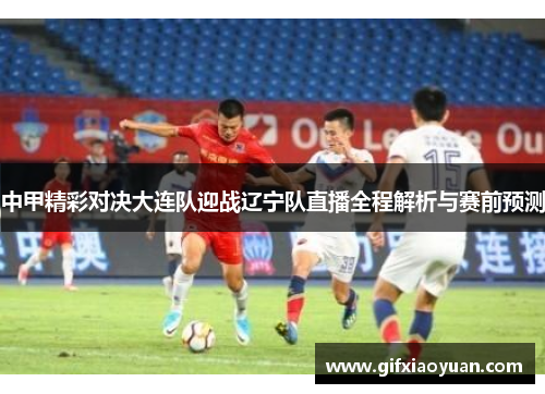 中甲精彩对决大连队迎战辽宁队直播全程解析与赛前预测